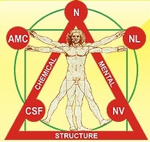 Эмоциональный дисбаланс - Васильева (2015)_0.jpg